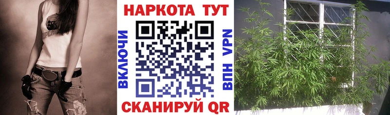 Купить Химки Бошки Шишки  Кокаин  MDMA  ГАШ 
