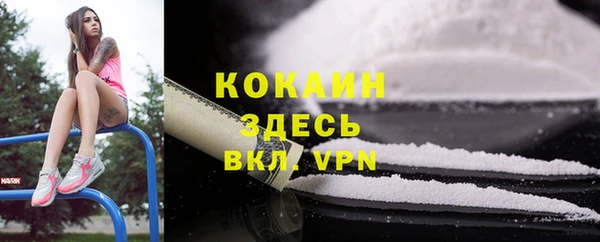 mix Белокуриха