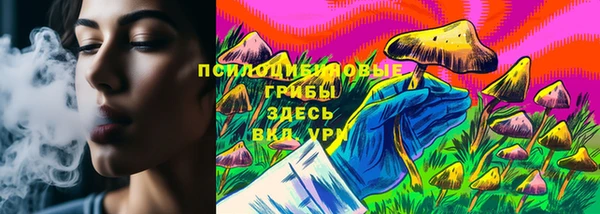 mix Белокуриха