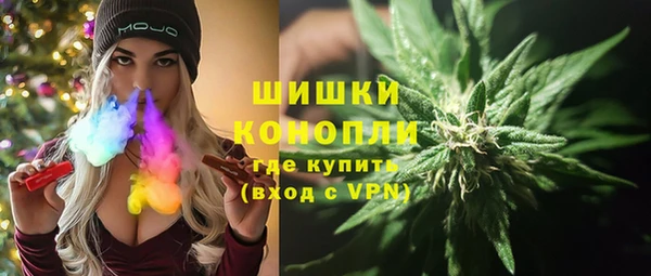 твердый Богородск