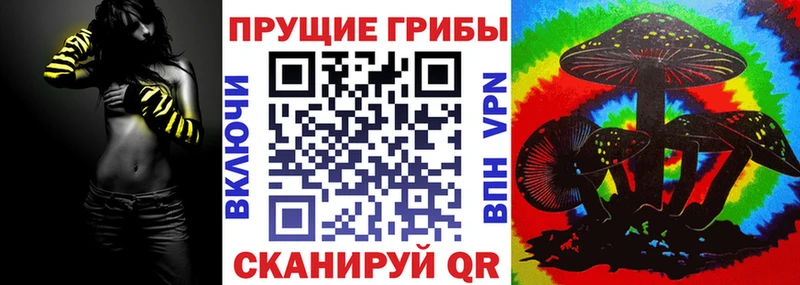 kraken как войти  купить наркотик  Химки  Псилоцибиновые грибы Cubensis 