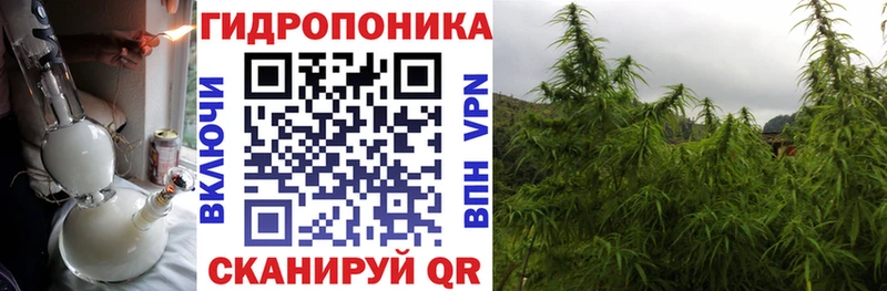 Канабис VHQ  MEGA зеркало  Химки 